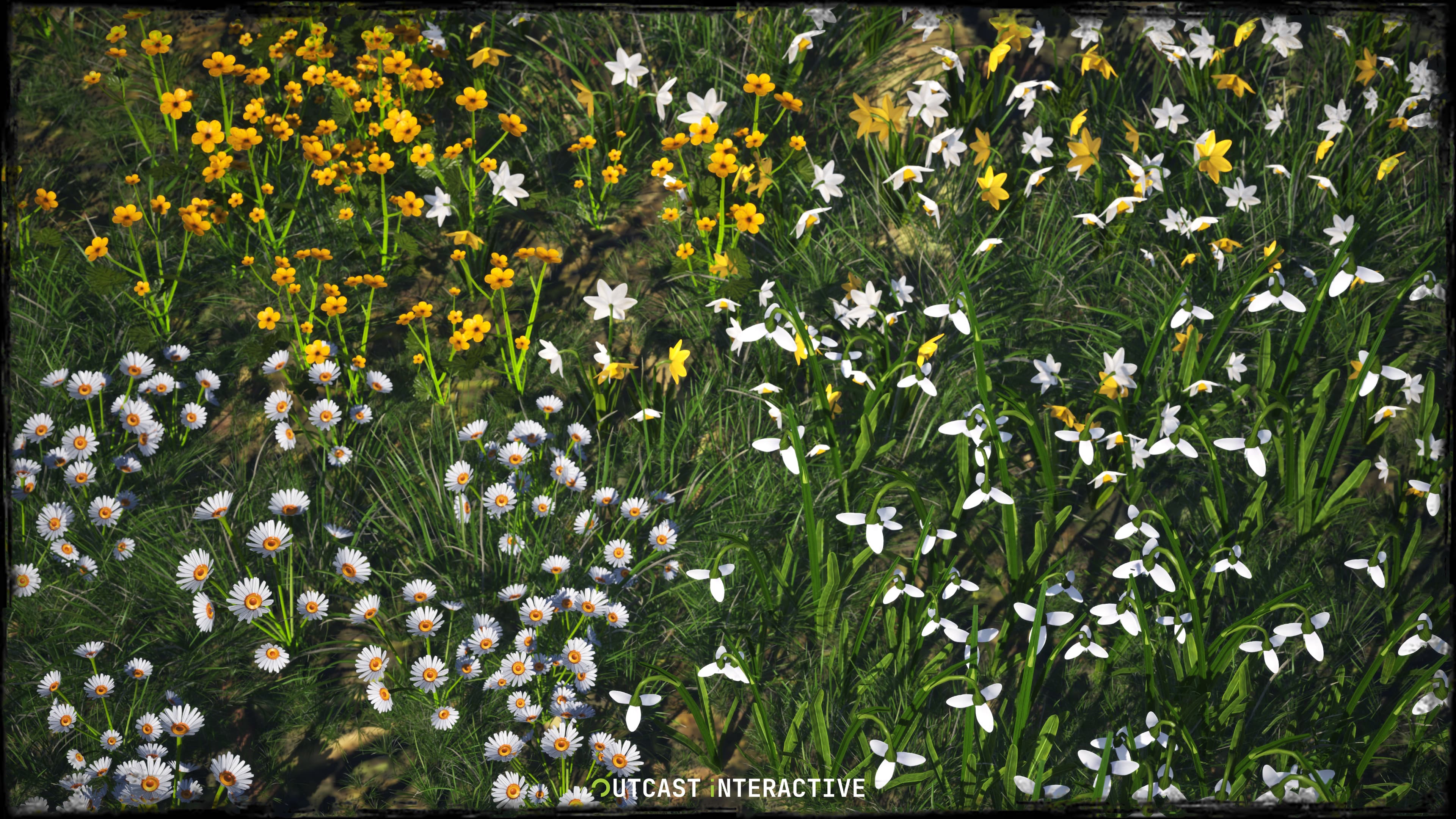 Flowers And Grass 01