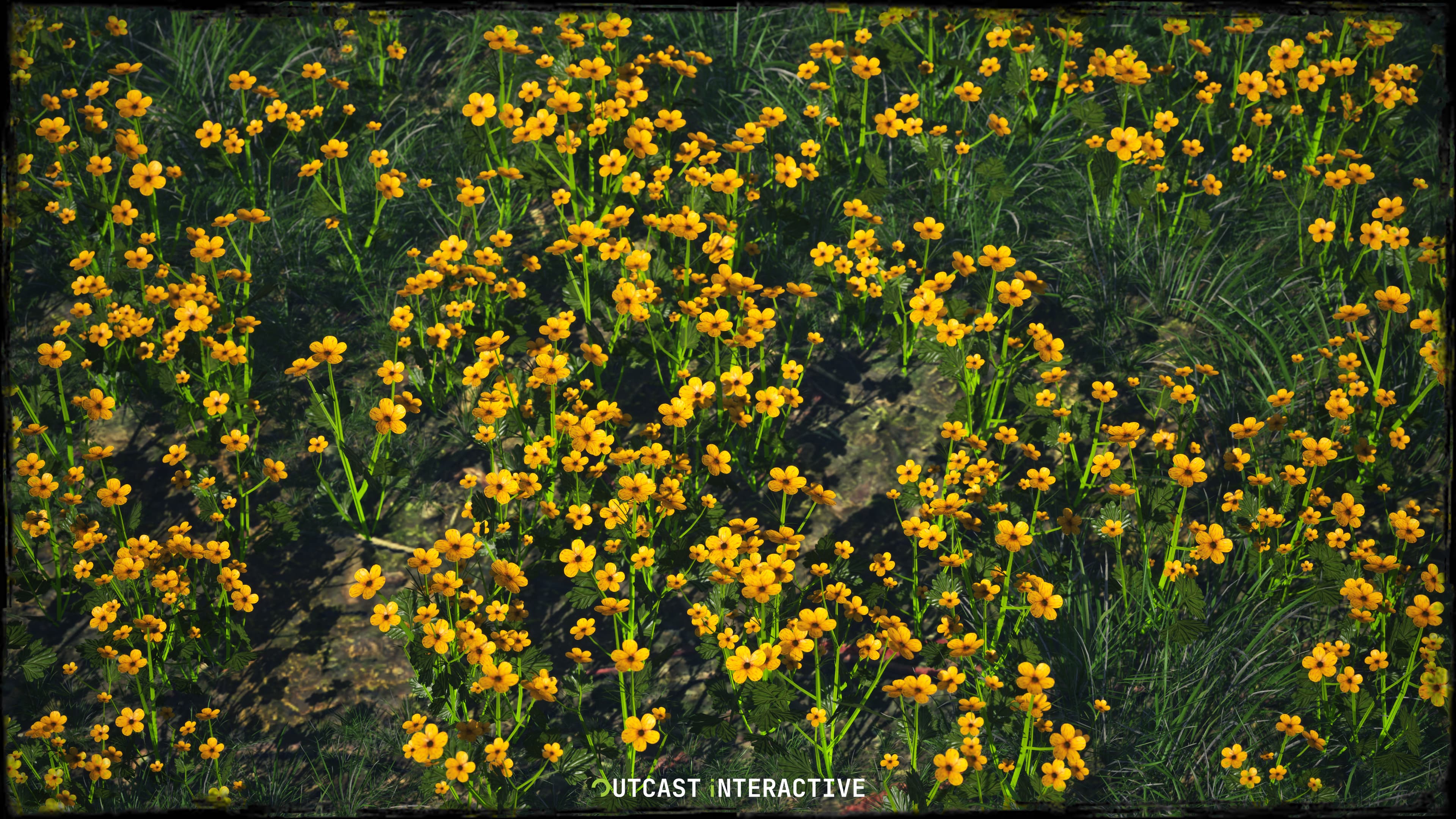 Flowers And Grass 01