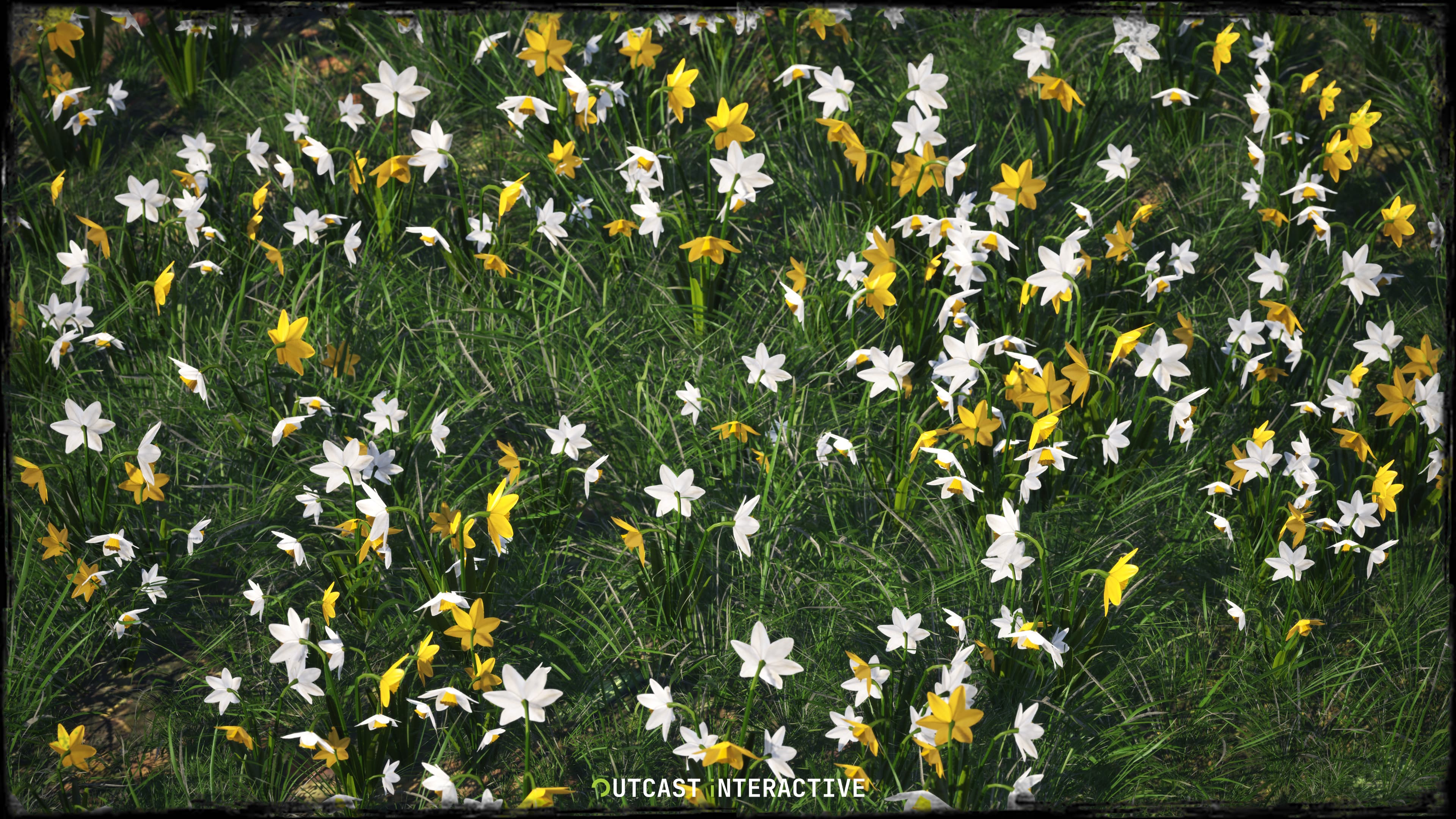 Flowers And Grass 01