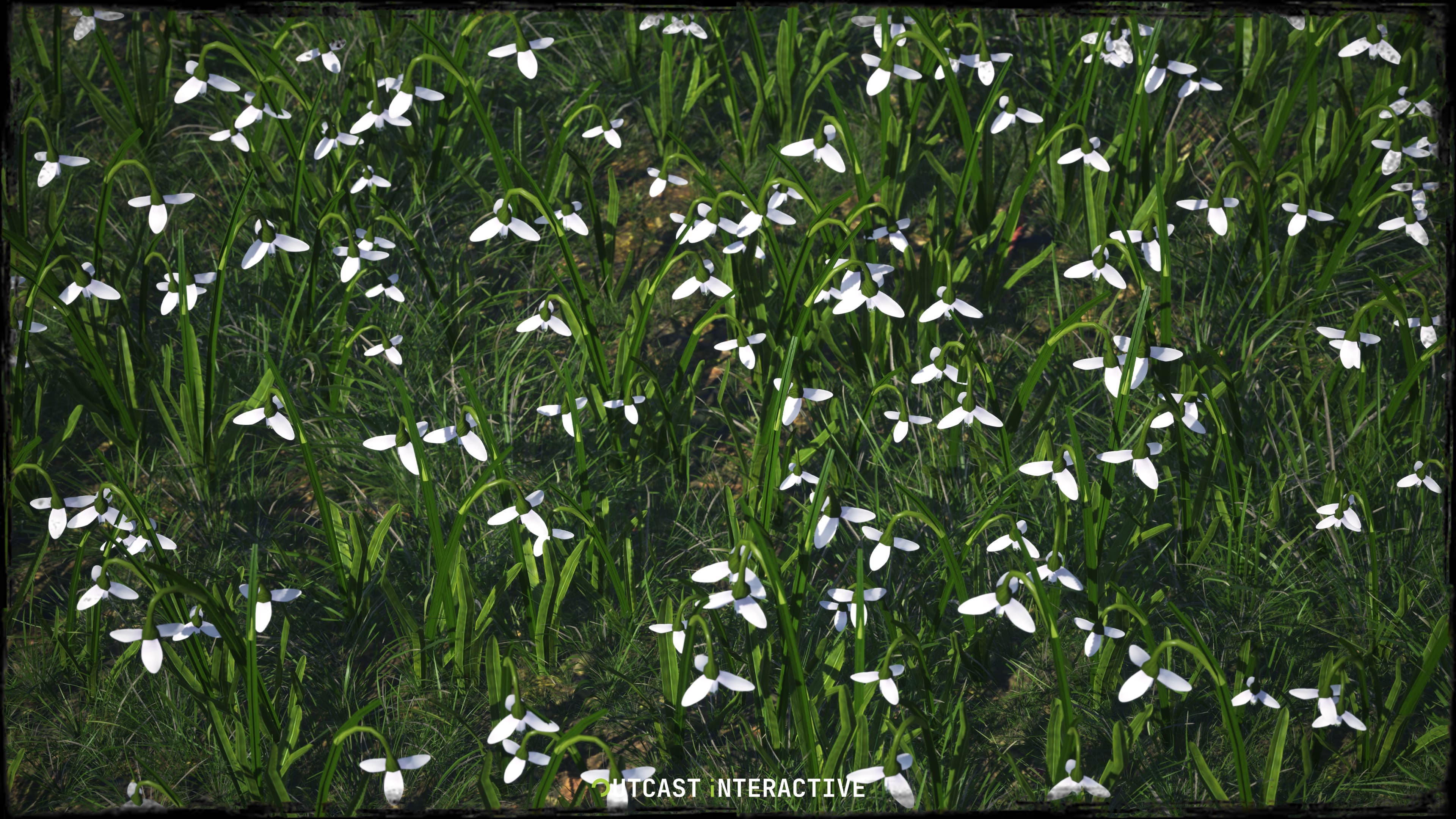 Flowers And Grass 01