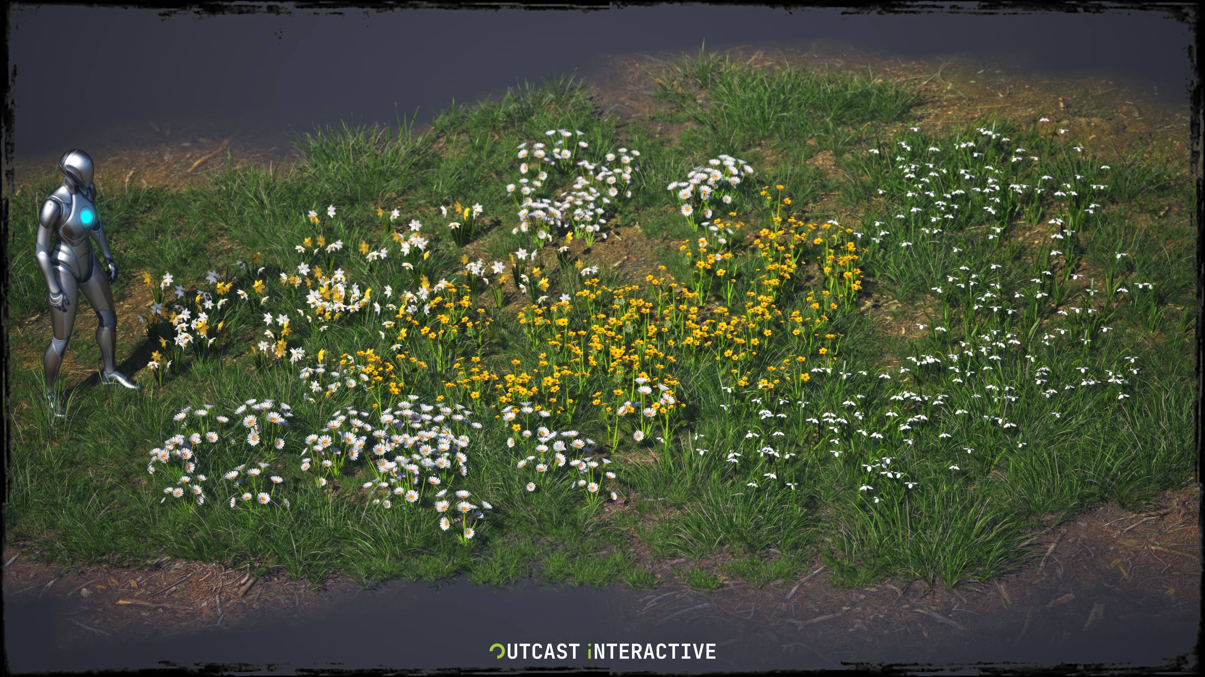 Flowers And Grass 01