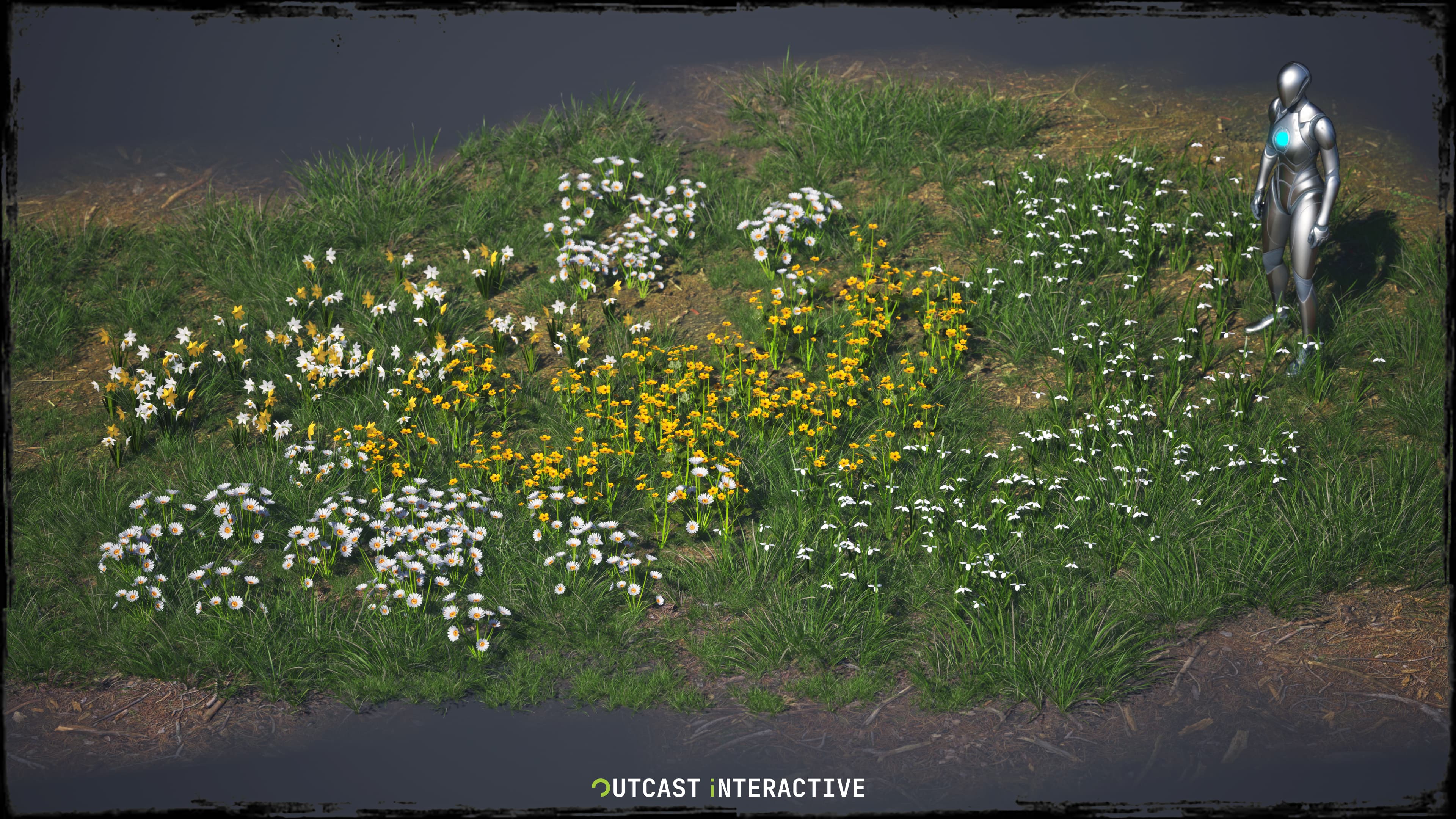 Flowers And Grass 01