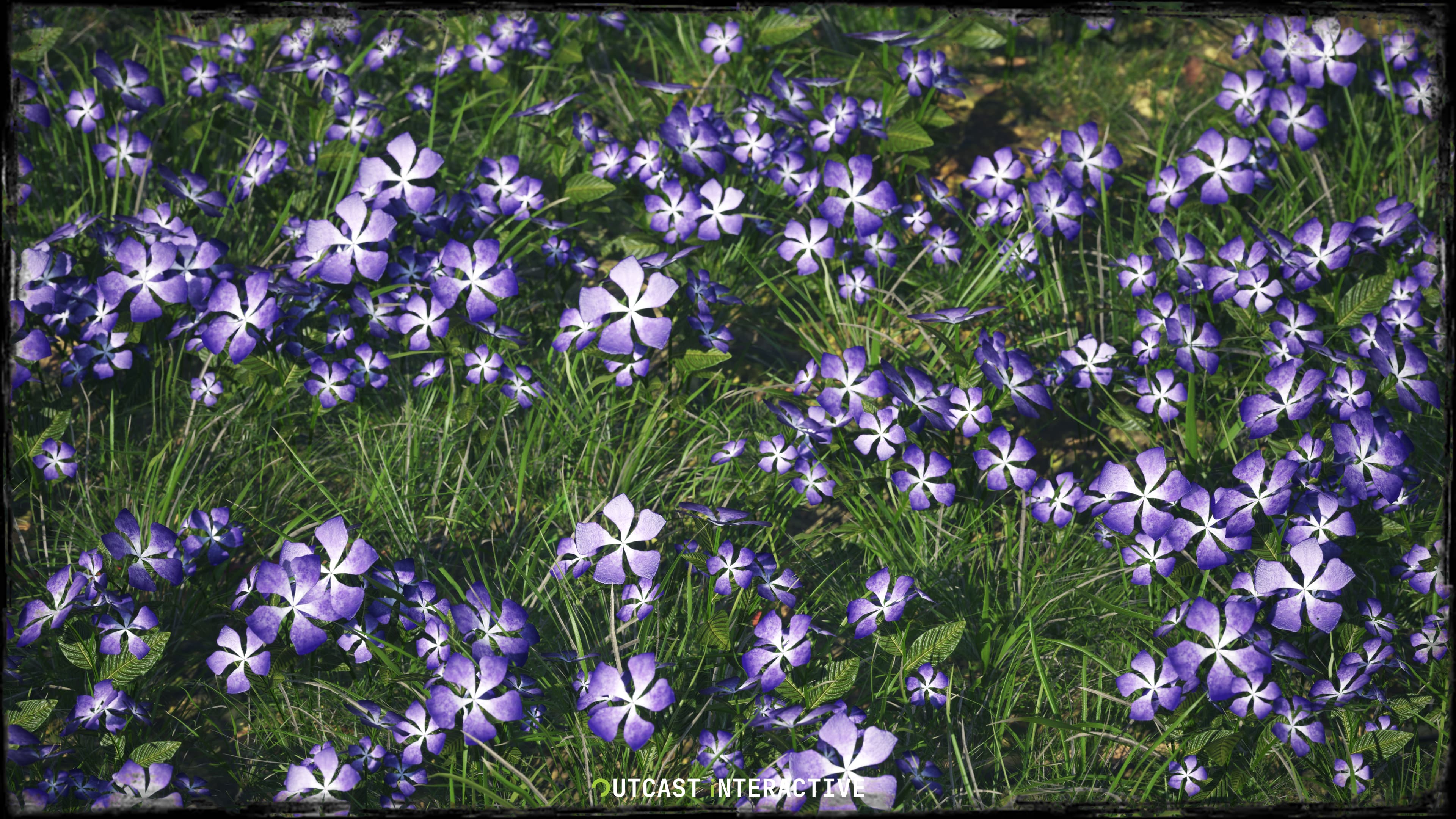 Flowers And Grass 02