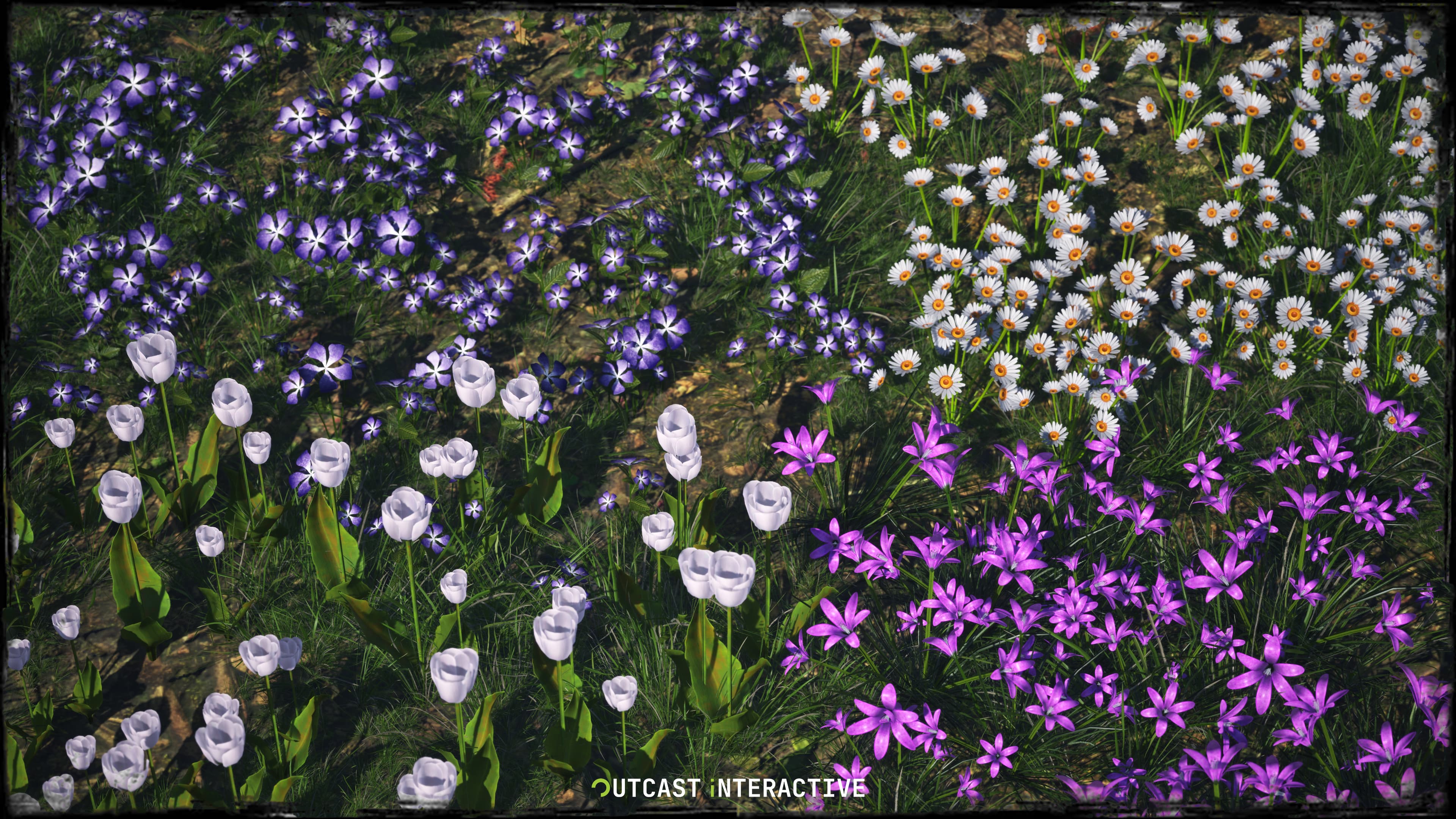 Flowers And Grass 02