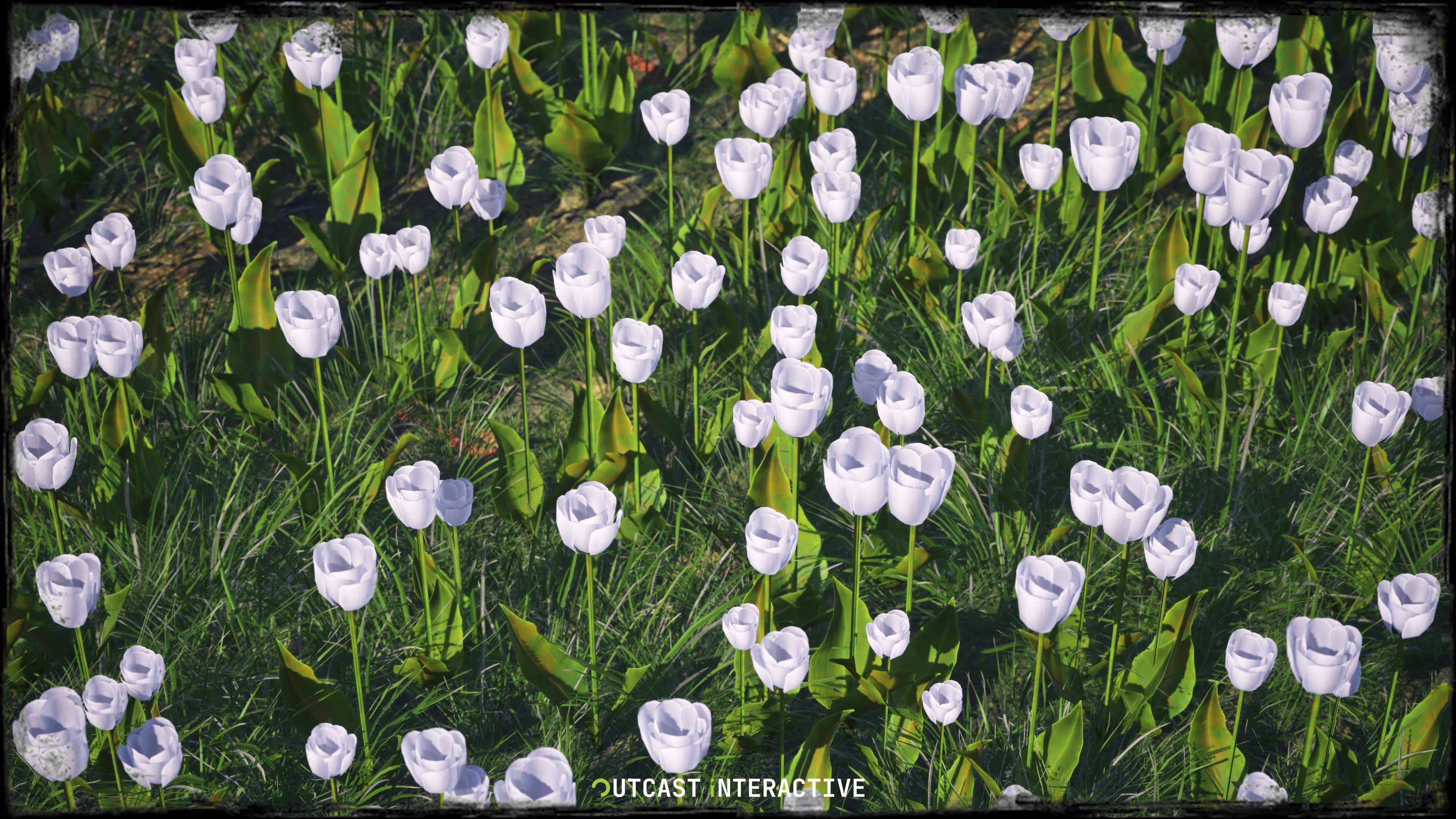 Flowers And Grass 02