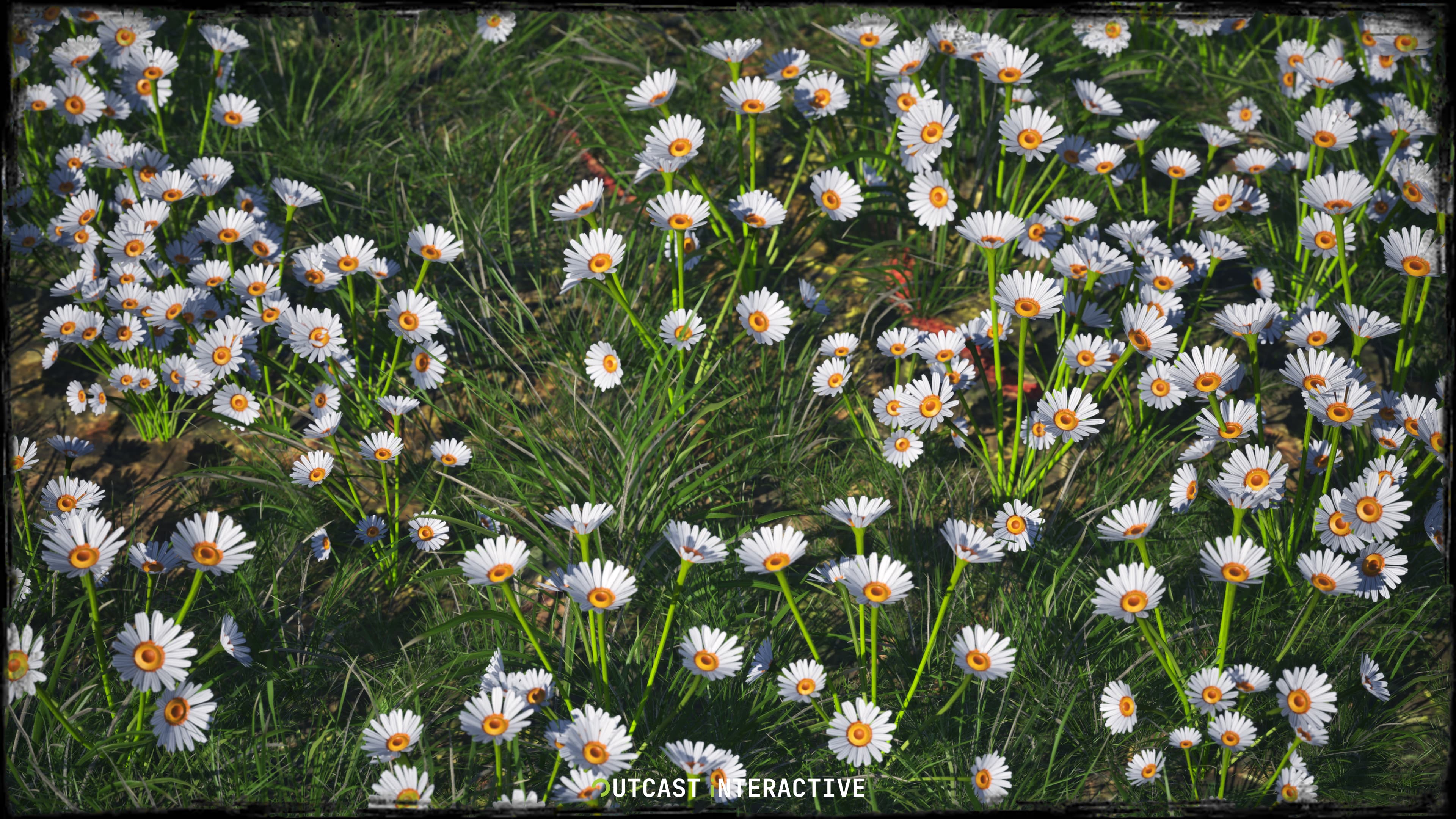 Flowers And Grass 02