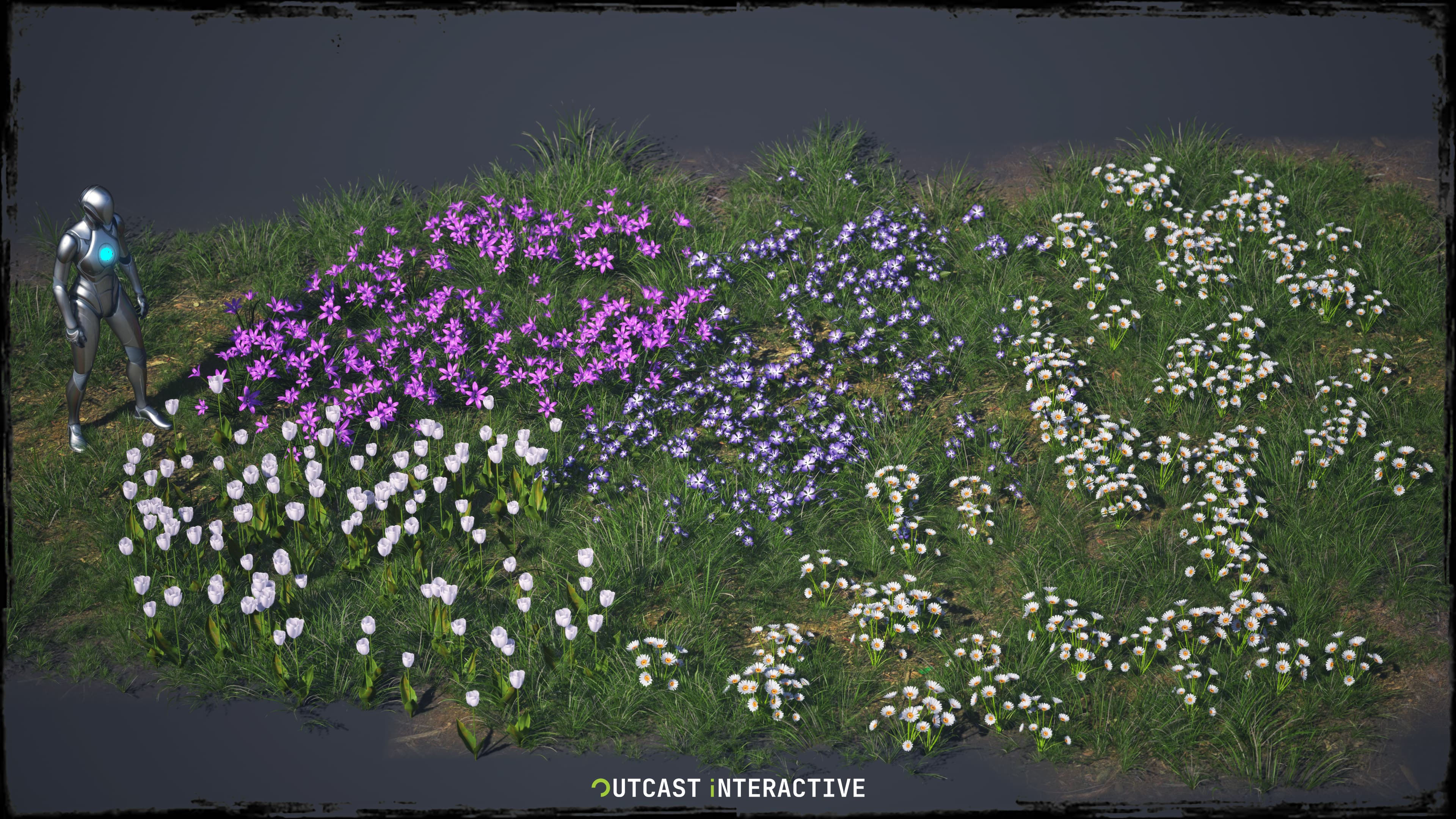 Flowers And Grass 02