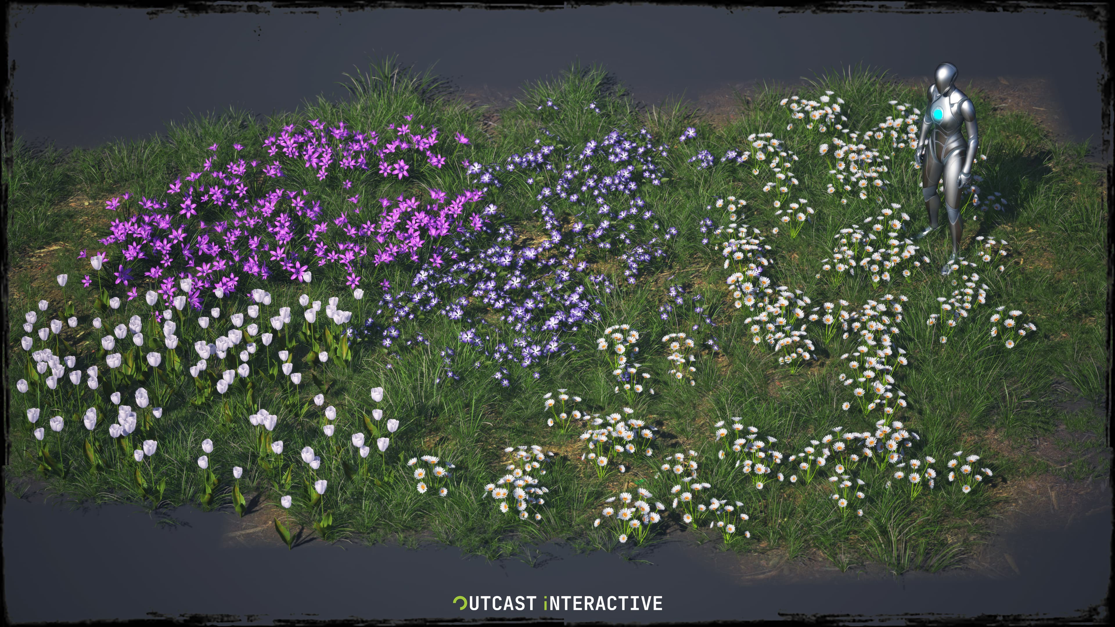 Flowers And Grass 02