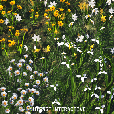 Flowers And Grass 01