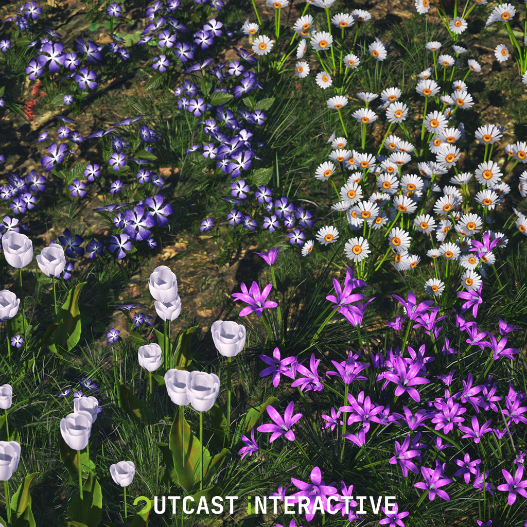 Flowers And Grass 02
