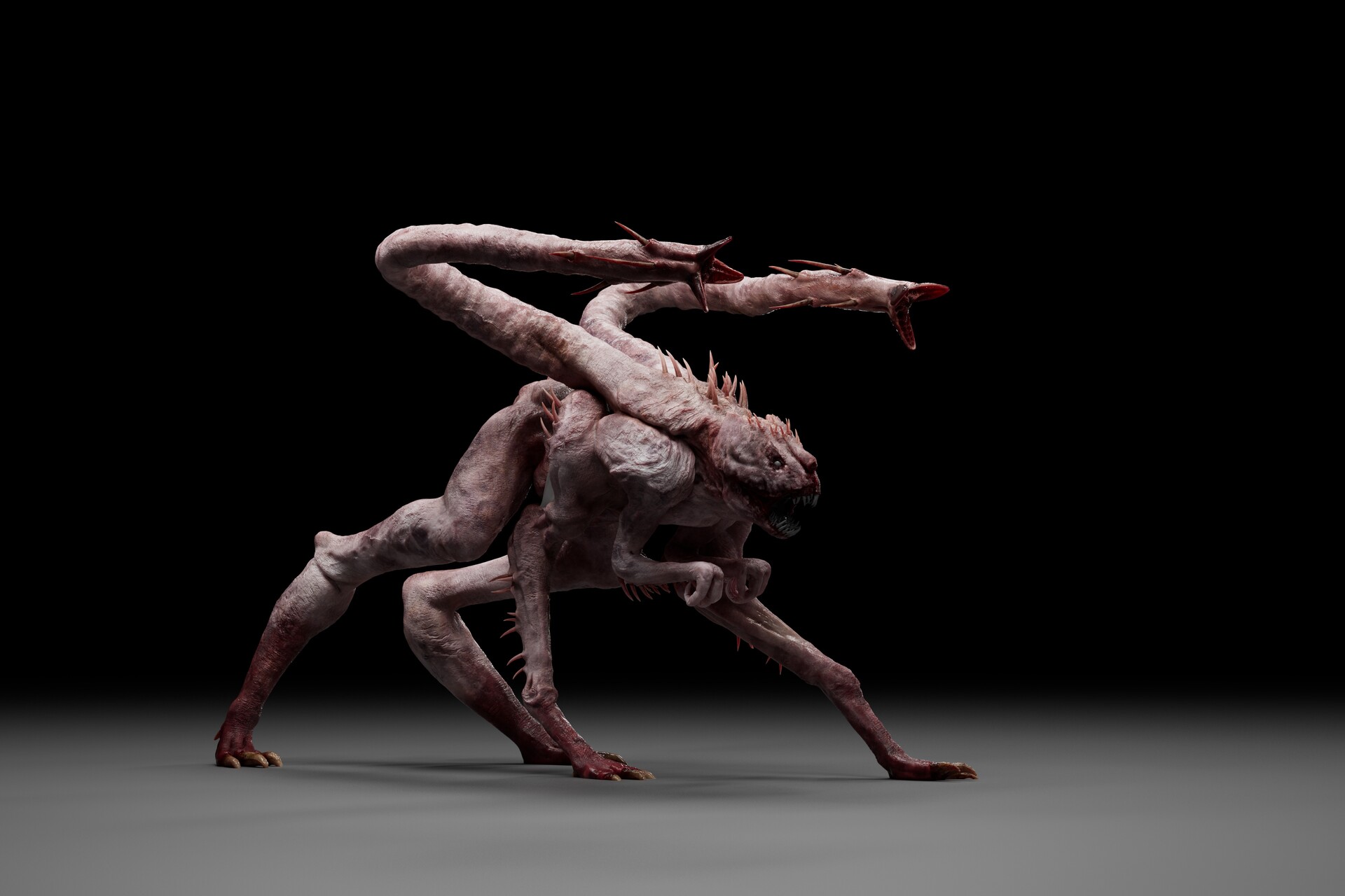 Mentor gallery image