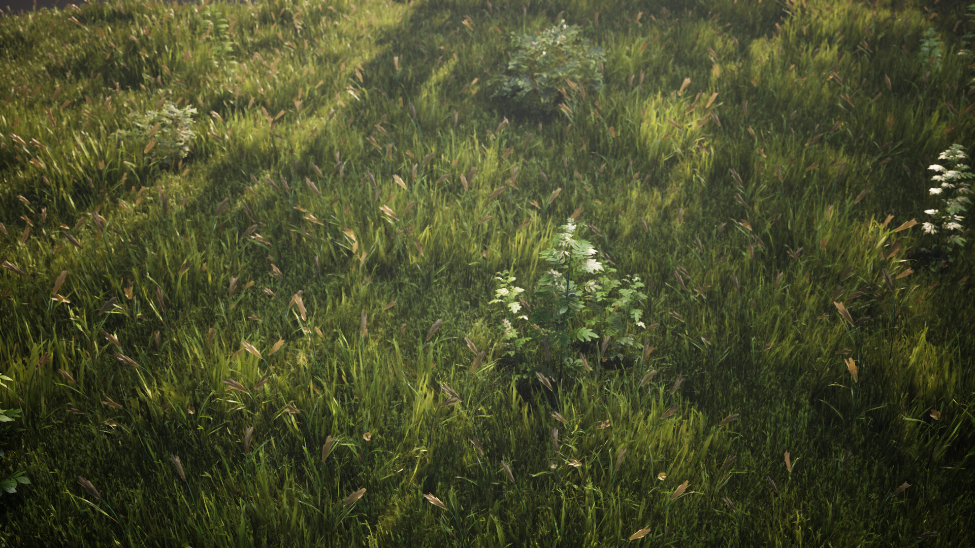 Mentor gallery image