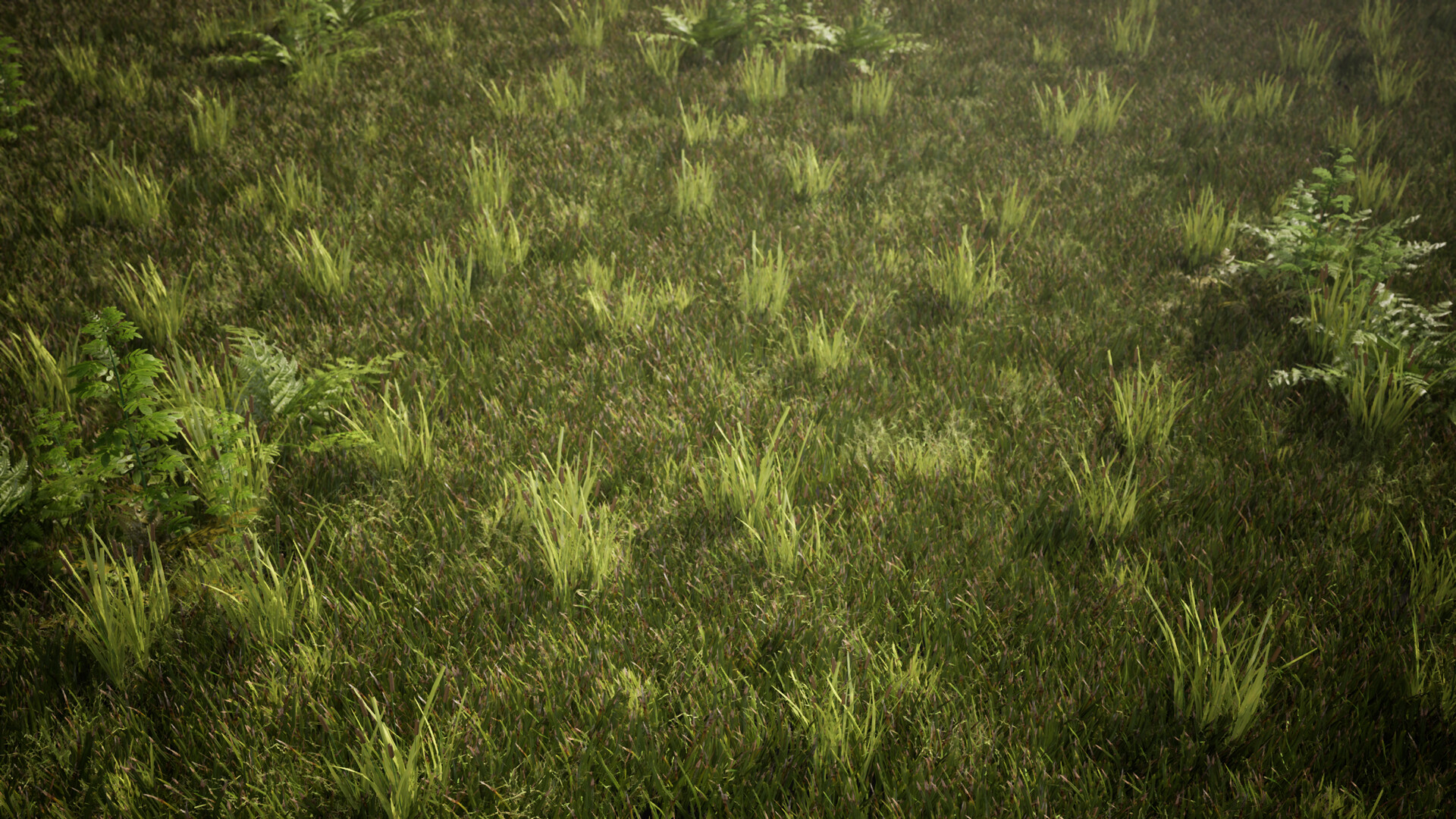 Mentor gallery image