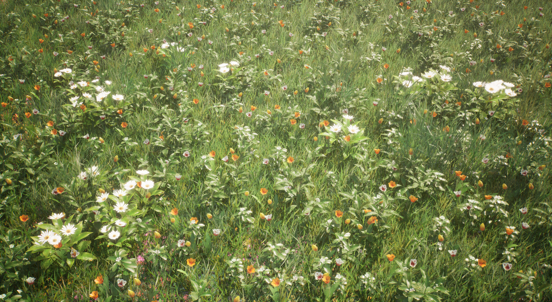 Mentor gallery image