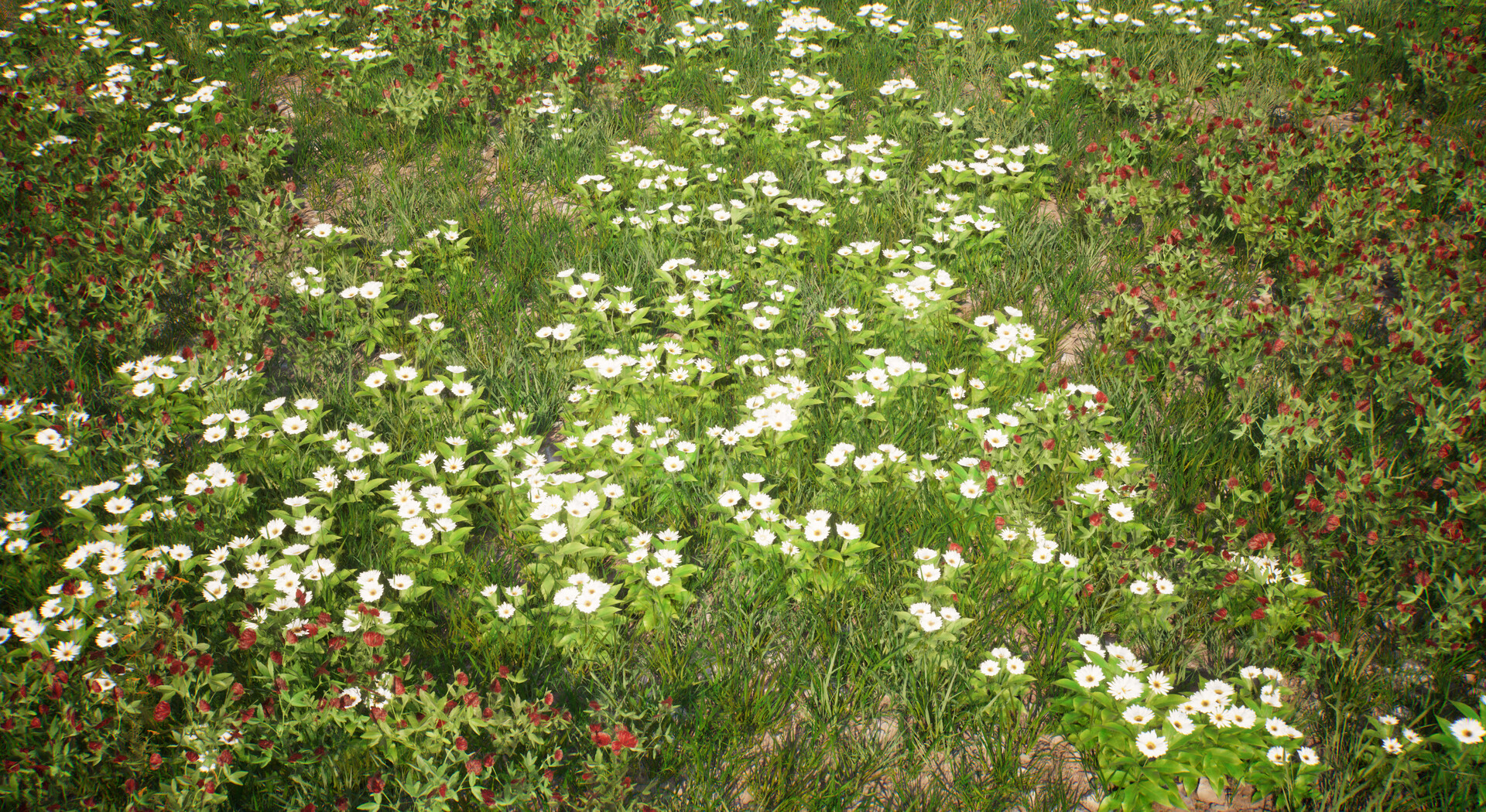 Mentor gallery image