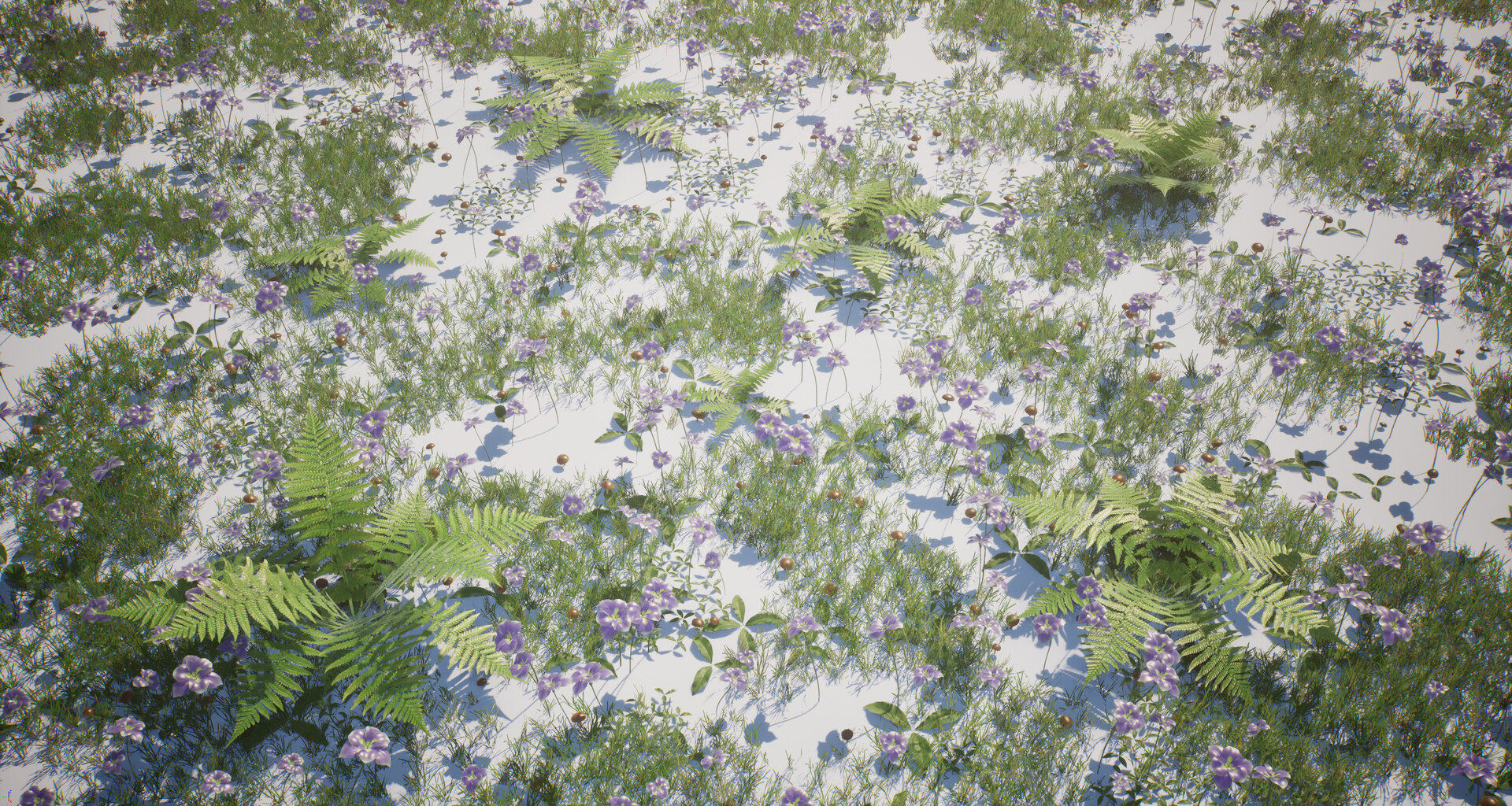 Mentor gallery image