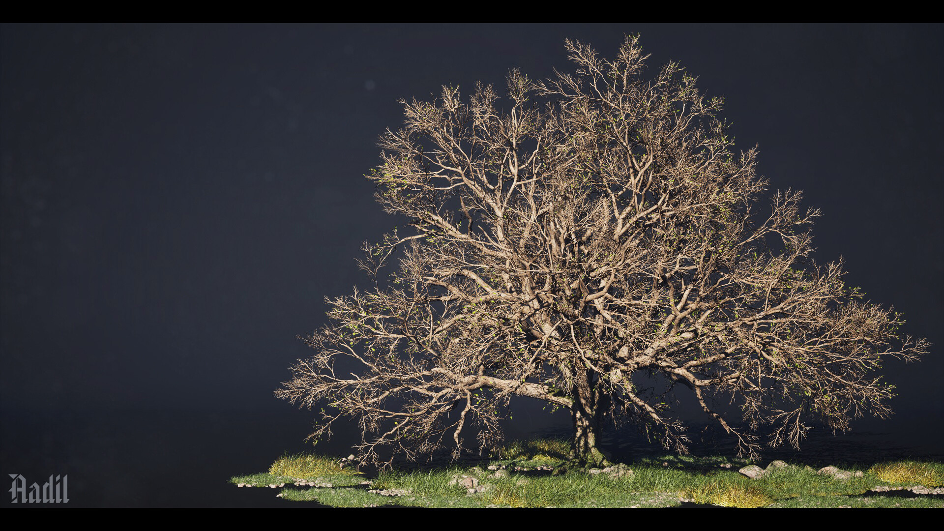 Mentor gallery image