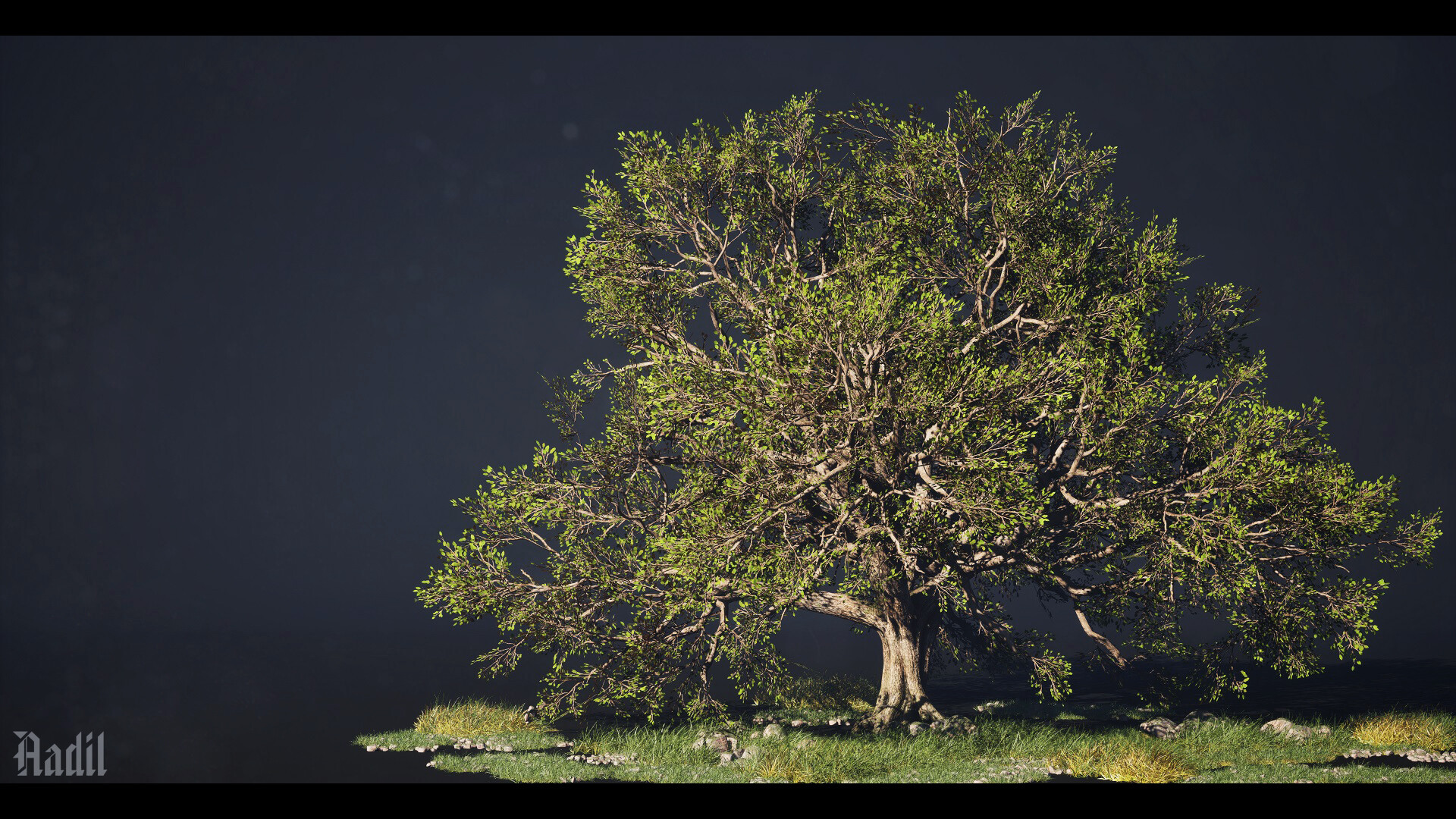 Mentor gallery image