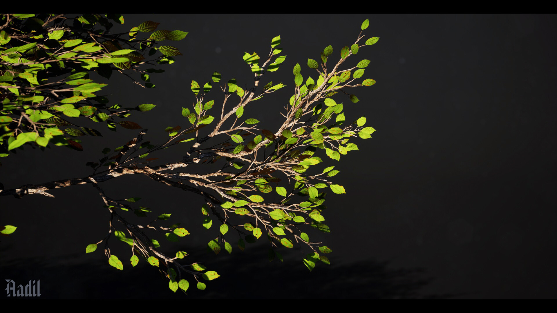 Mentor gallery image