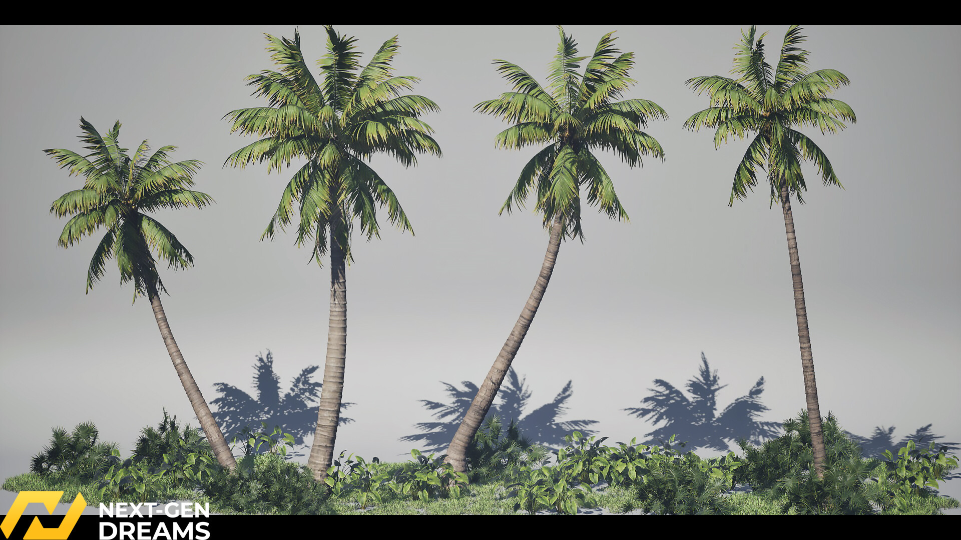 Mentor gallery image