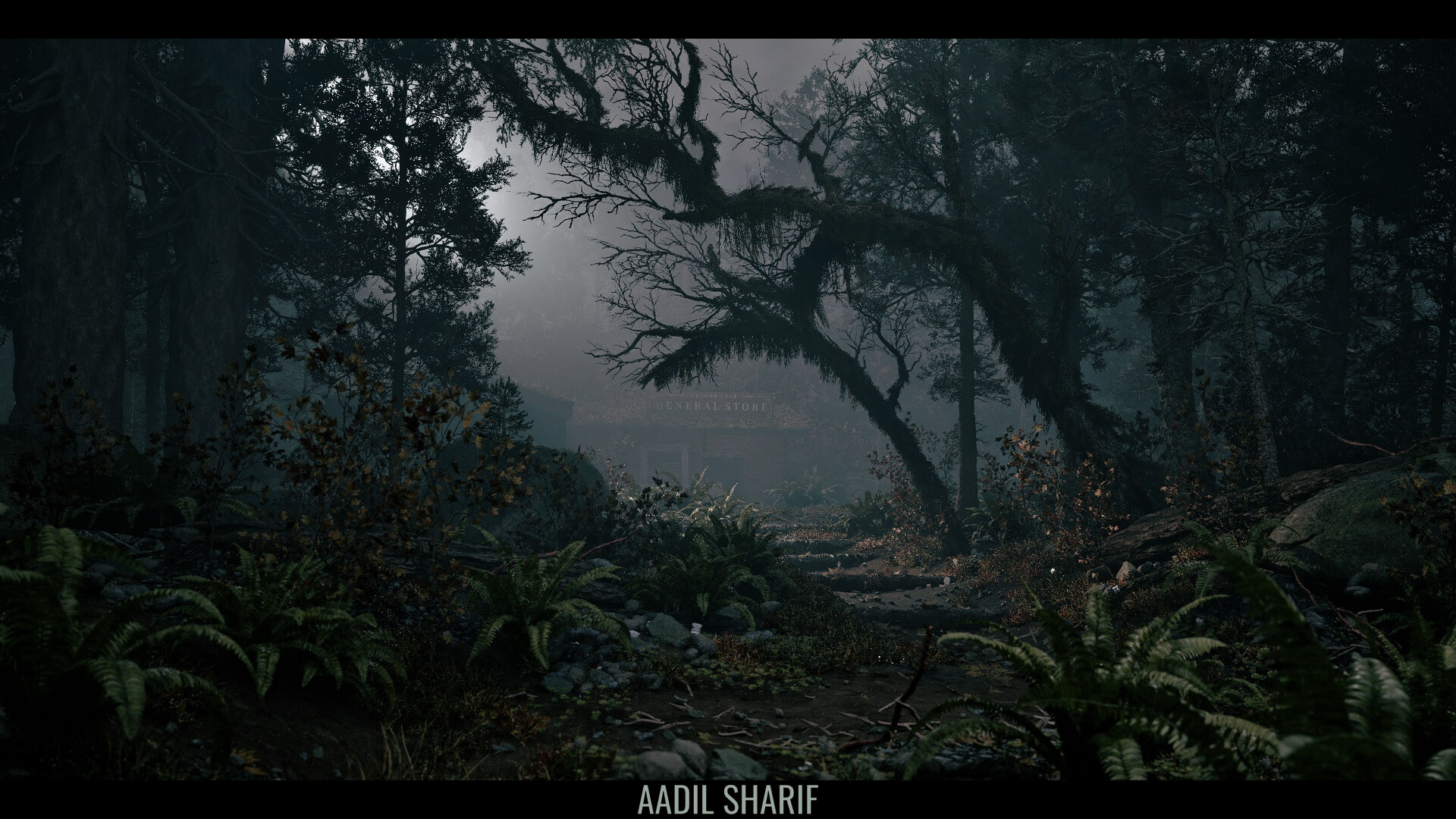 Mentor gallery image