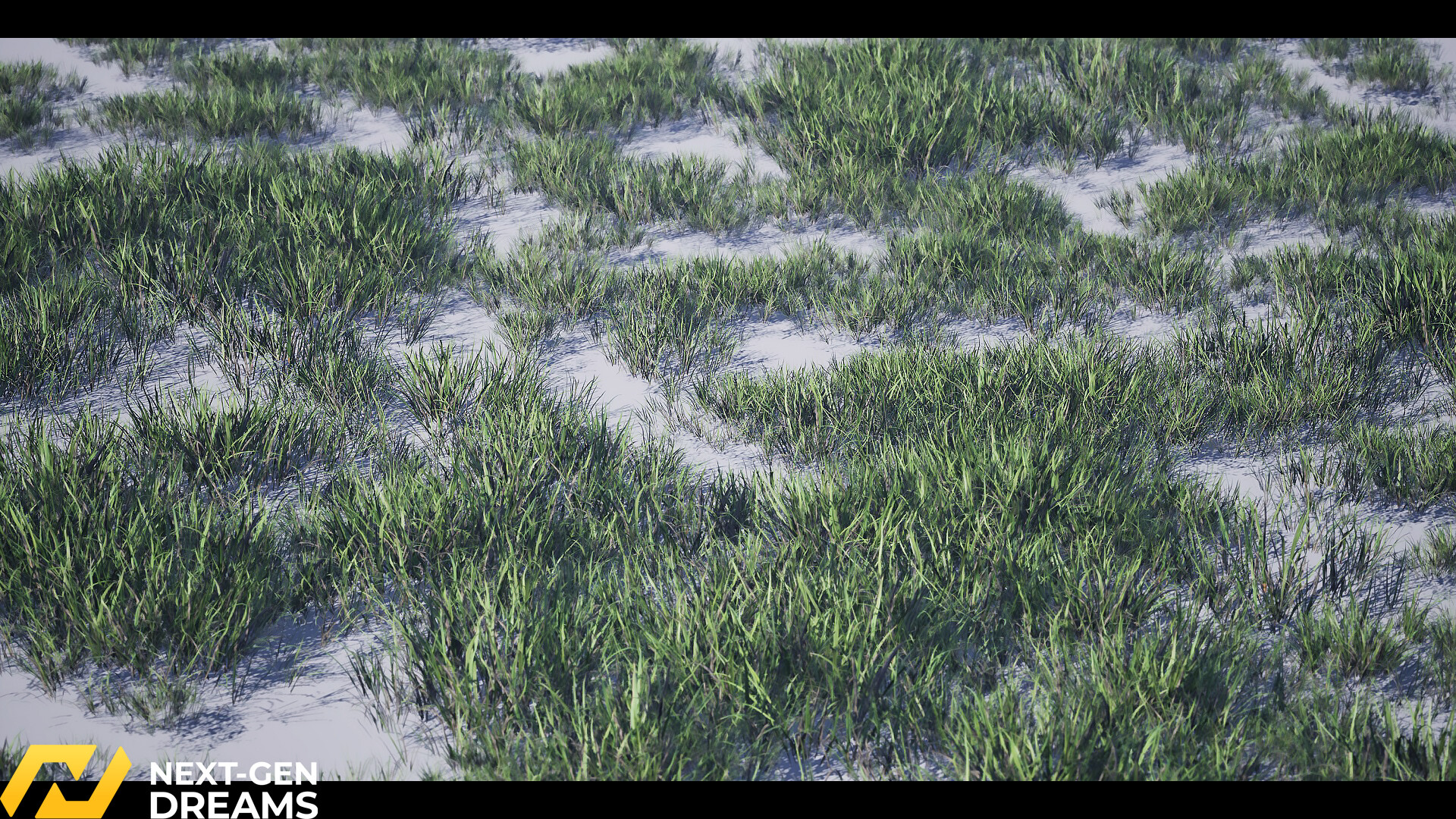 Mentor gallery image