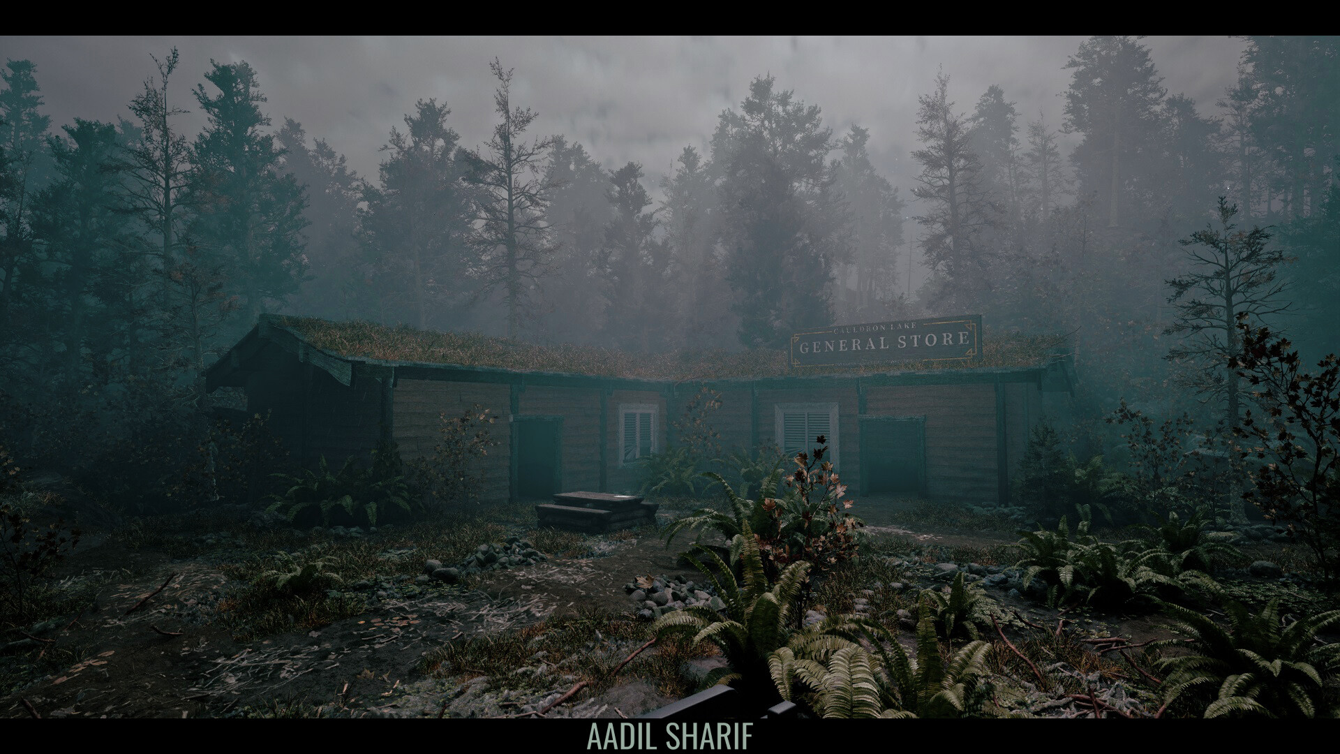 Mentor gallery image