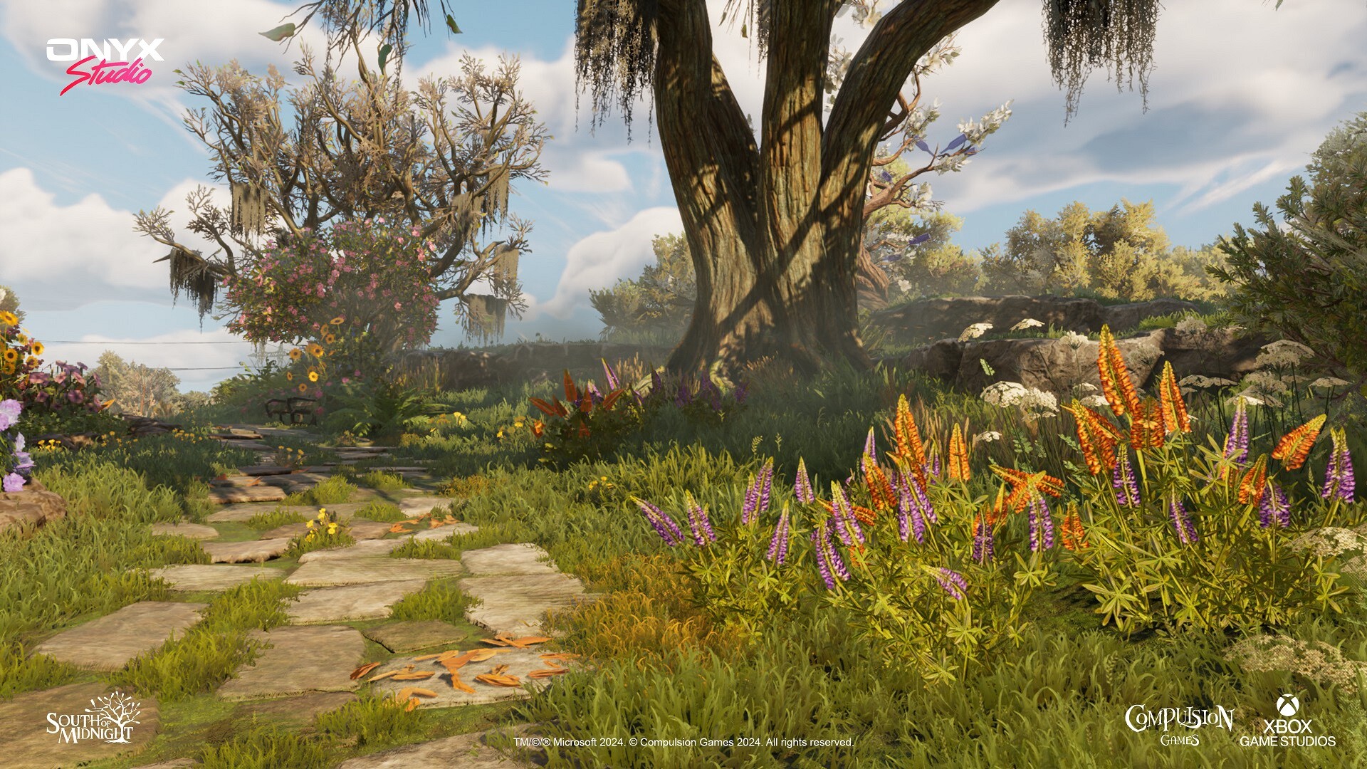 Mentor gallery image